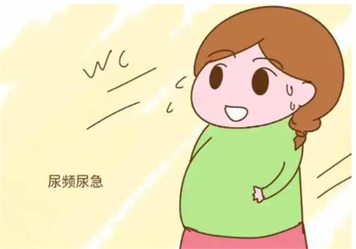 做好卵泡監(jiān)測(cè)，科學(xué)備孕事半功倍