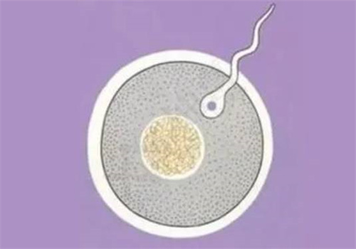 早唐沒(méi)問(wèn)題,中唐是否空腹主要看這些